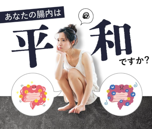 ファスコン整腸錠プラス